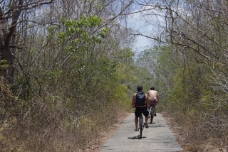 bicicletas en la selvas